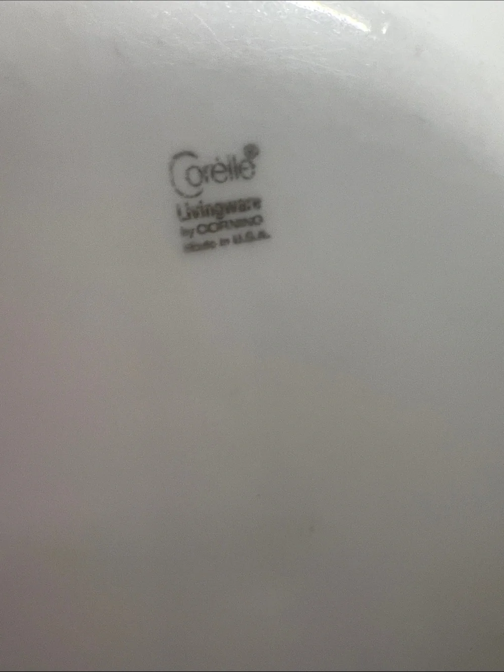 Corelle Snowflake Blue White Dinner and Salad Plate Set with Blue Floral Border